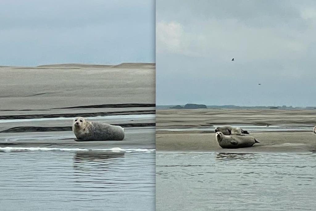 Appartamento En Plein Coeur Du Crotoy, Un Pied A Terre En Baie Le Crotoy Esterno foto