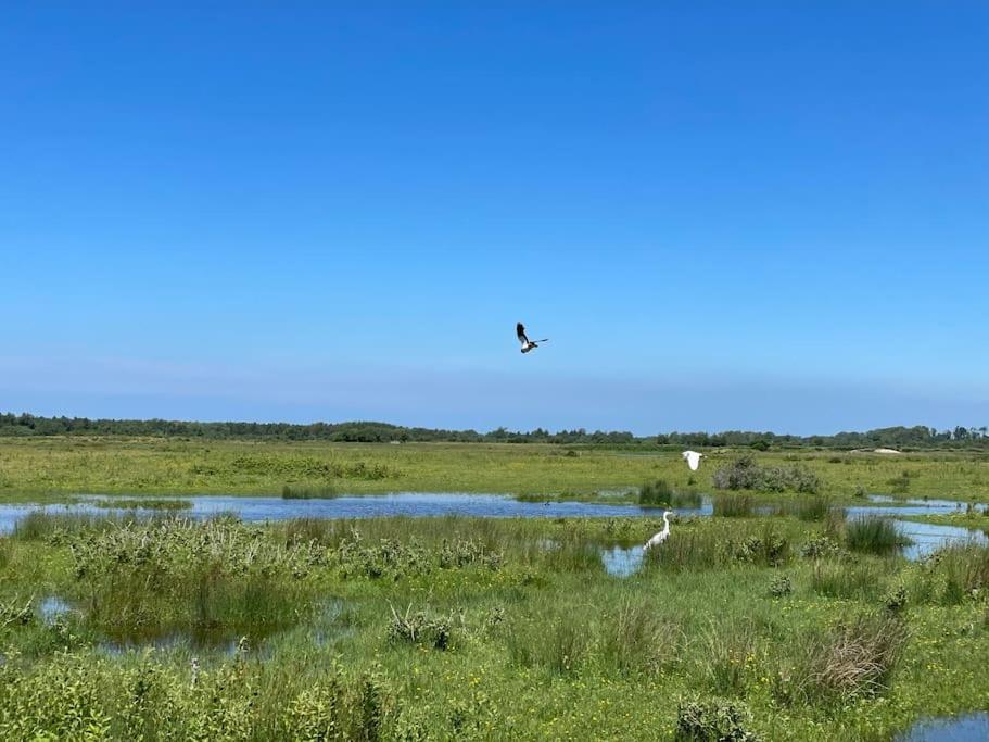 Appartamento En Plein Coeur Du Crotoy, Un Pied A Terre En Baie Le Crotoy Esterno foto
